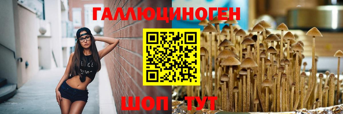 Псилоцибиновые грибы Magic Shrooms  Вход с VPN  продажа наркотиков  Галлюциногенные грибы ЛСД  Кимры 